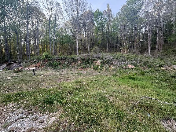 3rd image of 475 Hicks Hollow Rd