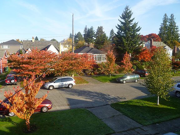 View from north-facing upstairs bedroom
