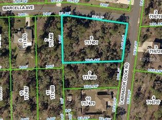 11422 Marcella Ave, Weeki Wachee, FL 34614