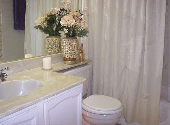 5th image of 2822 Capella Cir