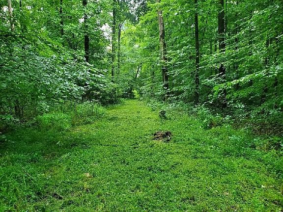 4th image of 1922-1924 Hickory Ln
