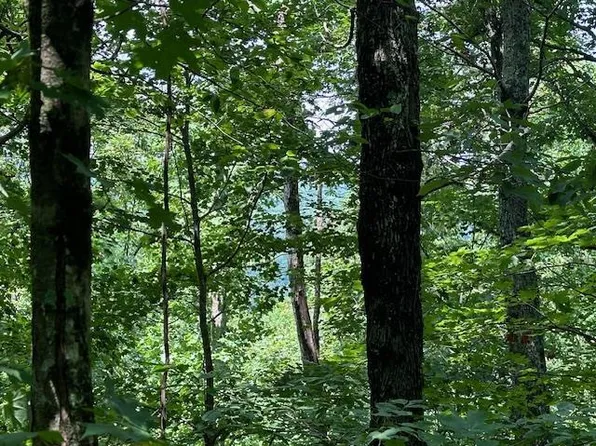 89 W Bobcat Ln, Wilder, TN 38589