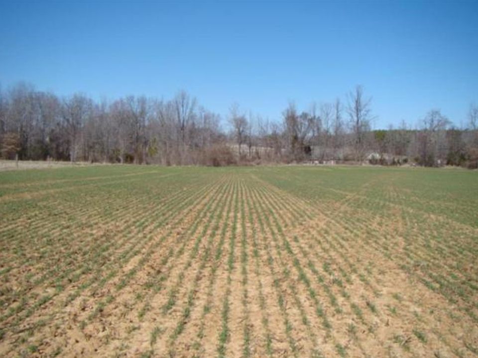 1st image of 21 Cotton Hill Ln