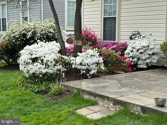 3rd image of 6290 Settlers Trail Pl