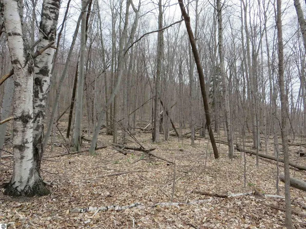 S Dune Hwy, Empire, MI 49630