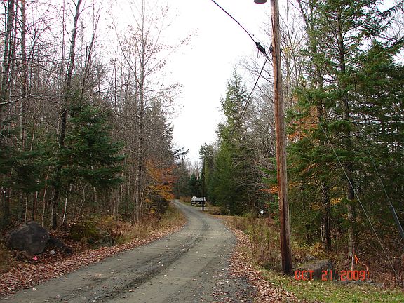 looks "W" from front