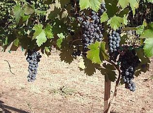 1345 Westridge Dr, Portola Valley, CA 94028