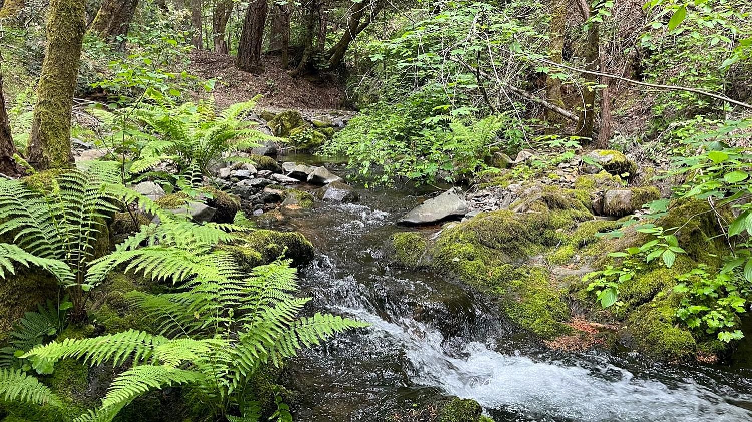 99 Quail Hill Ln, North San Juan, CA 95960 MLS 224071471 Zillow