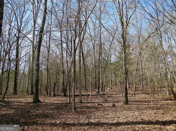 26 Benjamin Brown Ct, Elberton, GA 30635