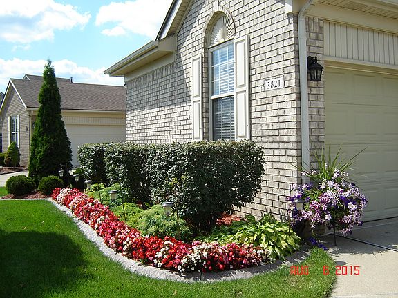 lush landscaping on property