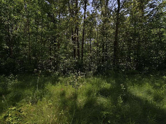 5th image of TRACT Olander Rd #C