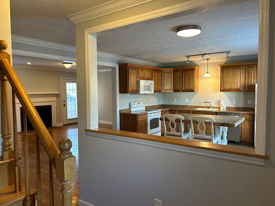 Main entrance view into kitchen and living area