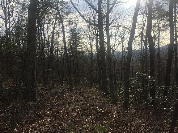 4th image of Bowman Dr