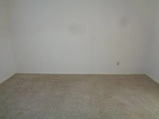 19806 Rustlewood Dr — Photo 17