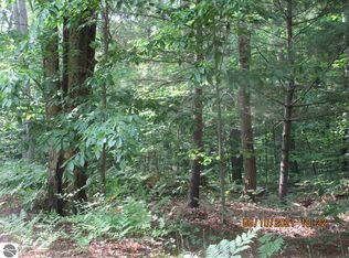 0 Dyer Rd SW, South Boardman, MI 49680