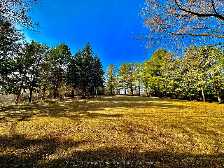 8 Blue Grass Dr — Photo 6