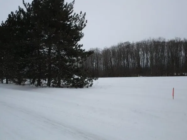 McMichael Rd, Alanson, MI 49706