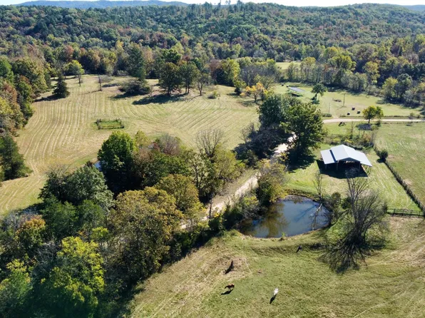 000 Carter 111, Van Buren, MO 63965