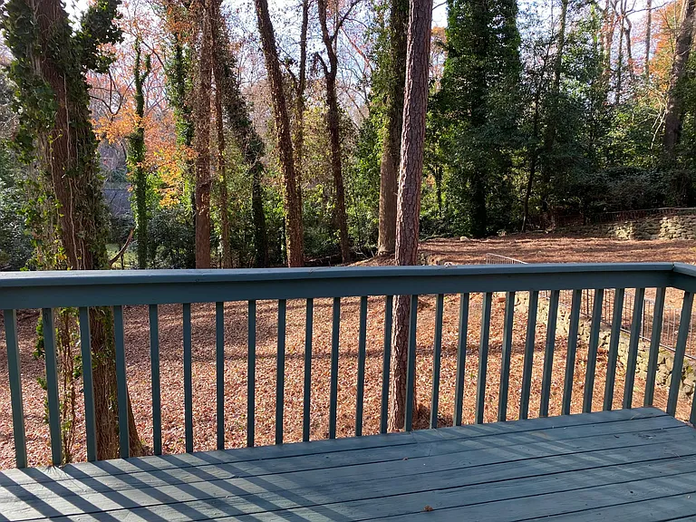 6838 Brandon Mill Rd — Photo 43
