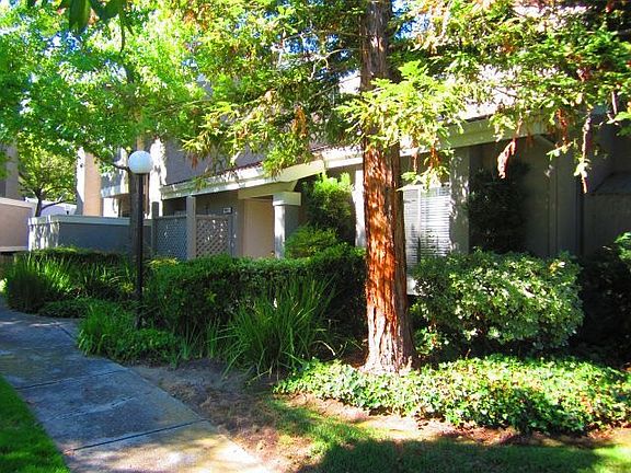 3rd image of 633 Palomino Dr