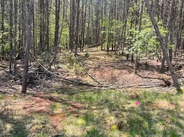 343 Aurora Rdg, Bostic, NC 28018