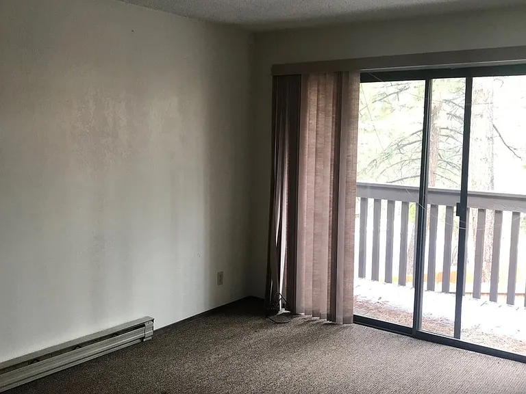 1439 Ski Run Blvd #D-2 — Photo 5