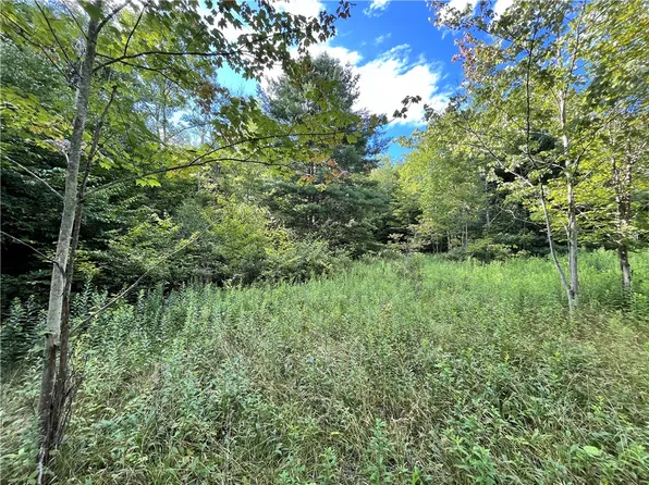 LOT 3 S Greenbush Rd Lot 3, Erin, NY 14838