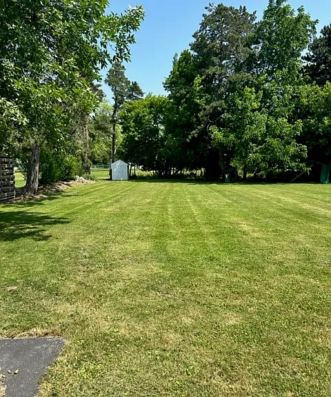 8960 Wehrle Dr — Photo 15