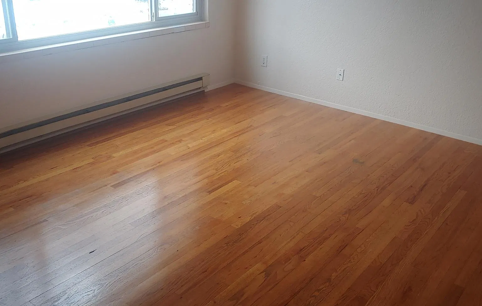 1 bed, 550 sqft, $1,400 — Photo 2