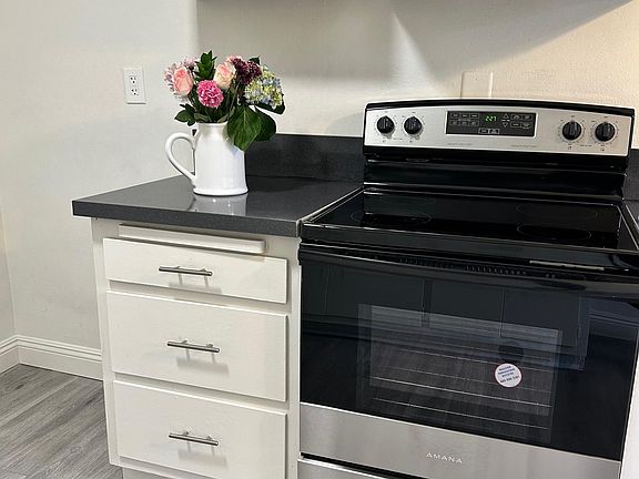 Electric stove area (new)
