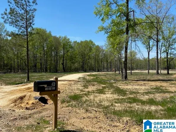 430 Wild Rose Trl, Ashville, AL 35953