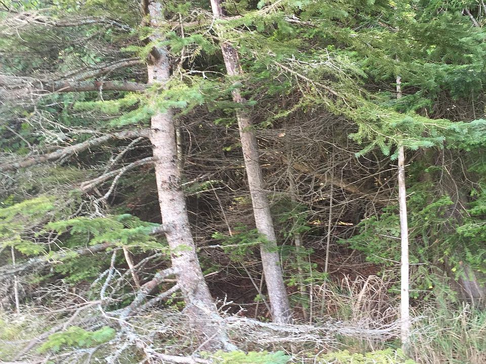 2nd image of E Tourist Rd