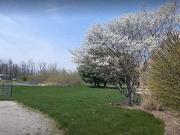 Spring time blooms &pond