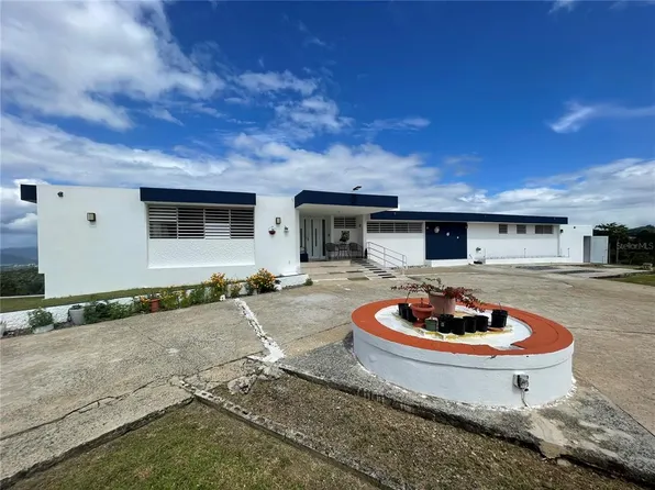 173 Road, Aguas Buenas, PR 00703