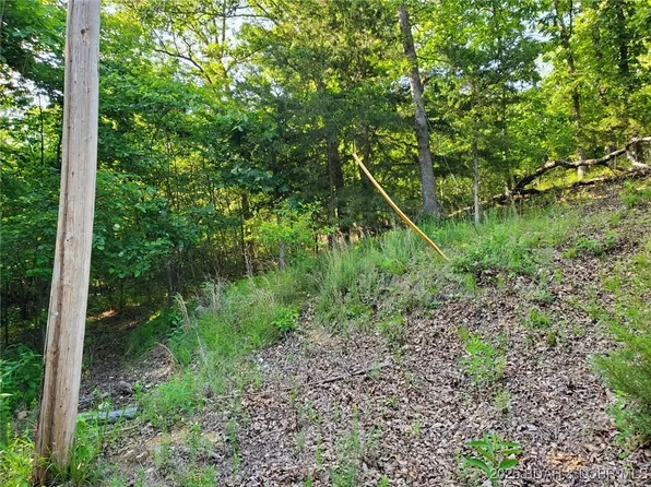 Alcorn Hollow Rd, Roach, MO 65787