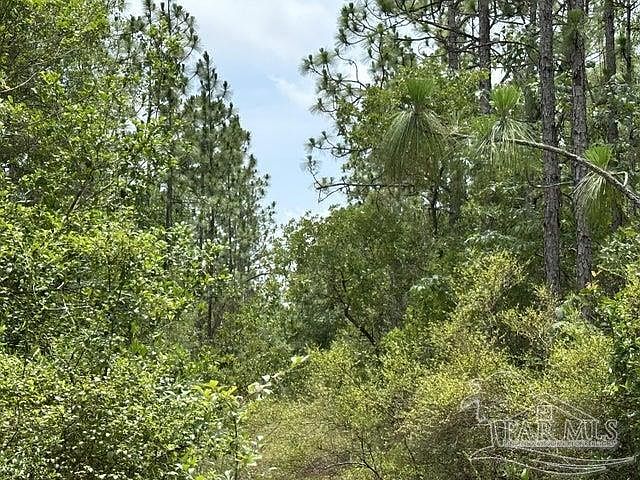 PARCEL N Wildlife Rd #C, Holt, FL 32564 | Zillow