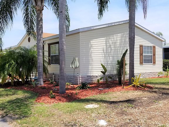 just planted cactus will remain