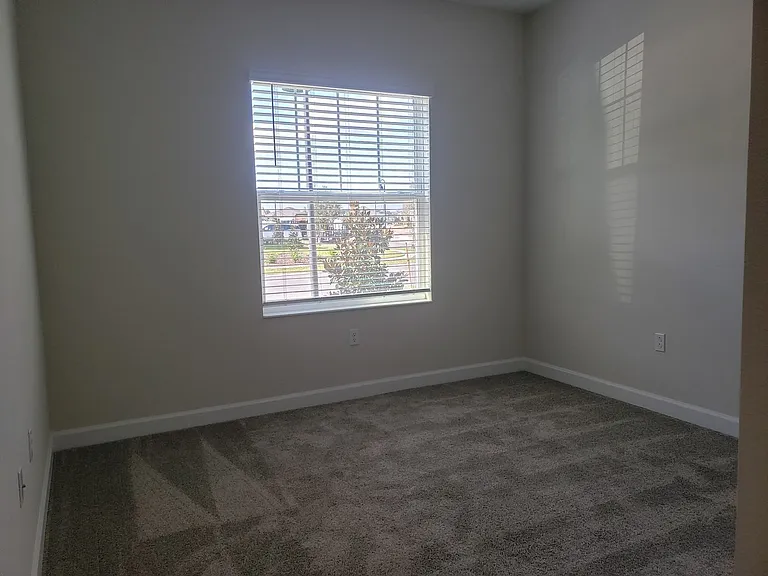 2910 American Elm Cv — Photo 11