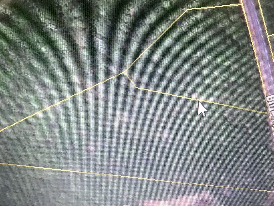 1st image of Blue Heron Way