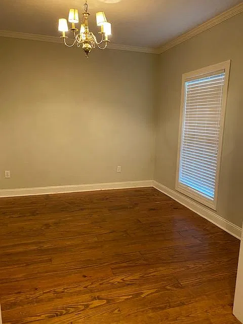 113 Channing Cir — Photo 4