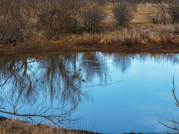 Dji 20260219080308 0624 D