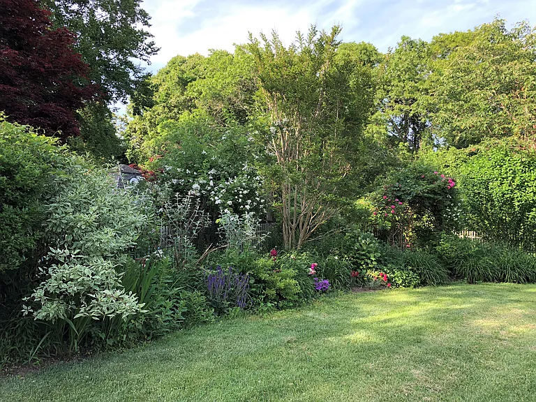335 Further Ln — Photo 39