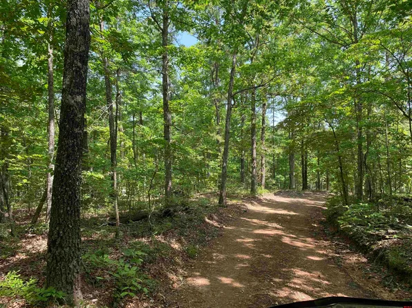 001-03695-000 Woodhill Ln, Yellville, AR 72687