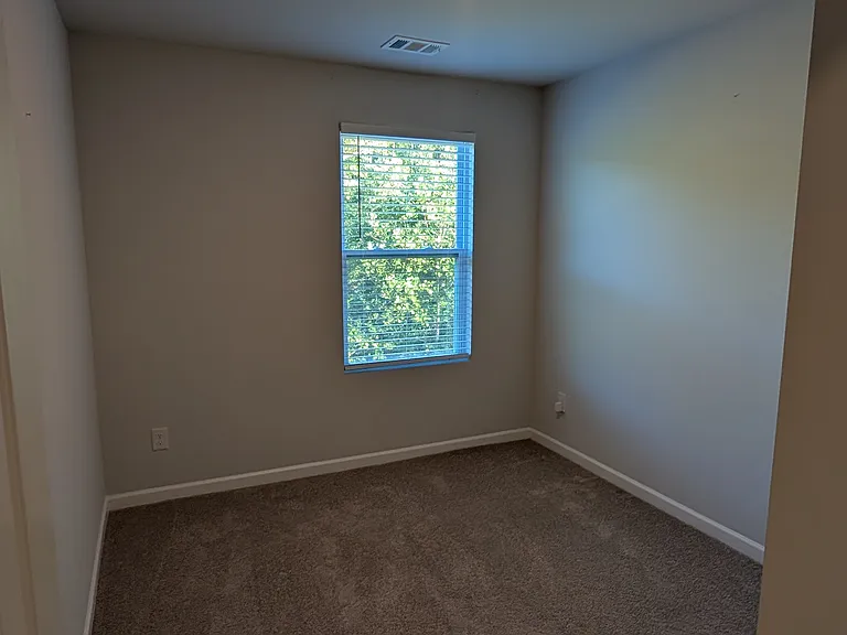 163 Dale Mires Ln — Photo 21