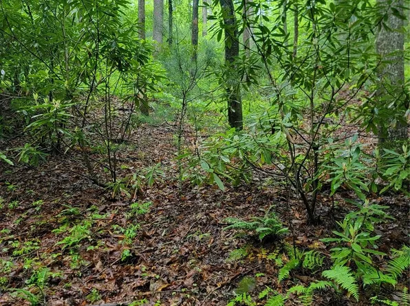 0 Rocky Top Rd, Lenoir, NC 28645