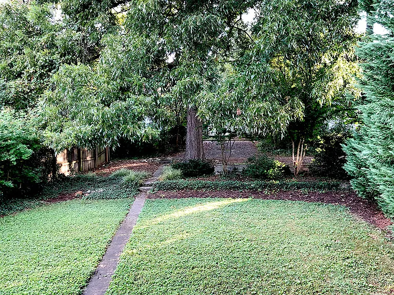 Back yard view