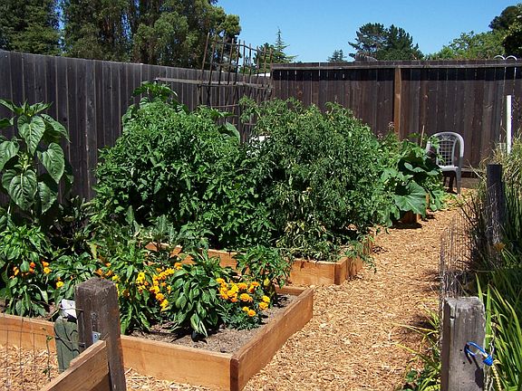Vegetable beds