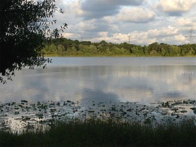 3815 Lake Shore Dr, Palm Harbor, FL, 34684