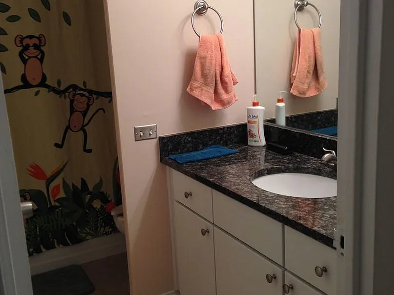 535 N Michigan Ave #506 — Photo 8