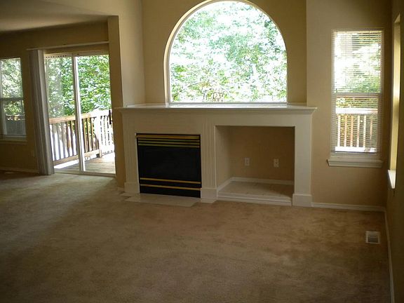 Gas fireplace and greenbelt view